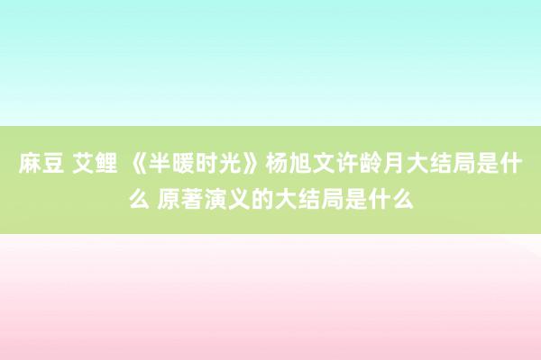 麻豆 艾鲤 《半暖时光》杨旭文许龄月大结局是什么 原著演义的大结局是什么