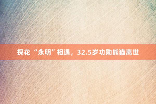 探花 “永明”相遇，32.5岁功勋熊猫离世