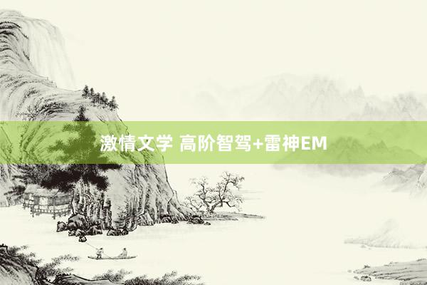 激情文学 高阶智驾+雷神EM