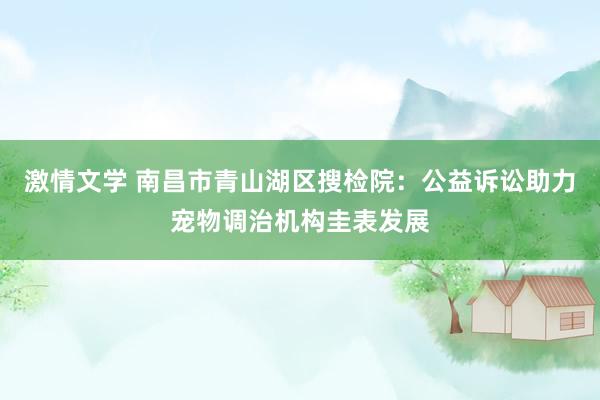 激情文学 南昌市青山湖区搜检院：公益诉讼助力宠物调治机构圭表发展