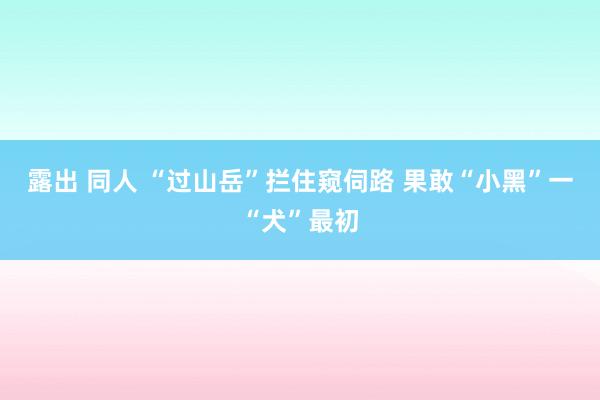 露出 同人 “过山岳”拦住窥伺路 果敢“小黑”一“犬”最初