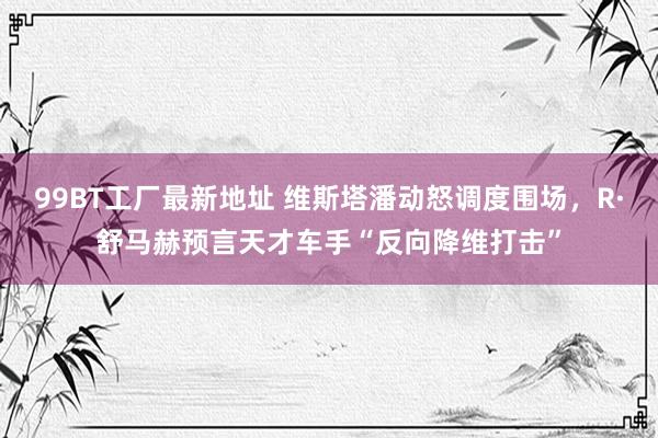 99BT工厂最新地址 维斯塔潘动怒调度围场，R·舒马赫预言天才车手“反向降维打击”