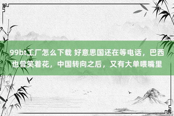 99bt工厂怎么下载 好意思国还在等电话，巴西也曾笑着花，中国转向之后，又有大单喂嘴里