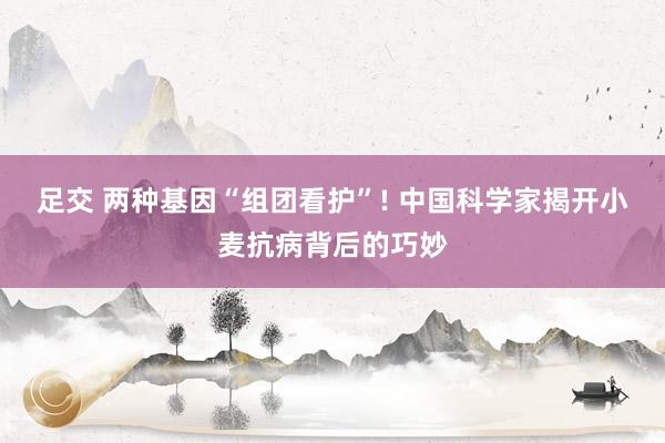 足交 两种基因“组团看护”! 中国科学家揭开小麦抗病背后的巧妙
