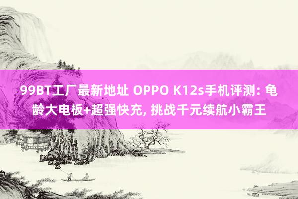 99BT工厂最新地址 OPPO K12s手机评测: 龟龄大电板+超强快充， 挑战千元续航小霸王