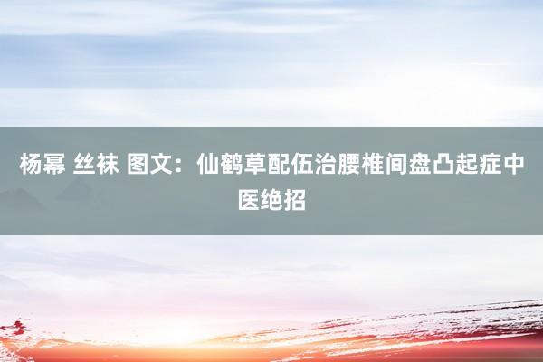 杨幂 丝袜 图文：仙鹤草配伍治腰椎间盘凸起症中医绝招