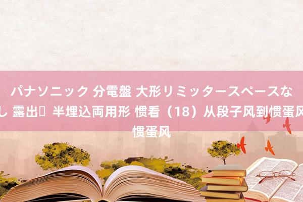 パナソニック 分電盤 大形リミッタースペースなし 露出・半埋込両用形 惯看（18）从段子风到惯蛋风